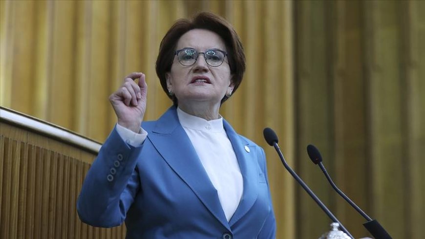 BAŞBAKAN AKŞENER !