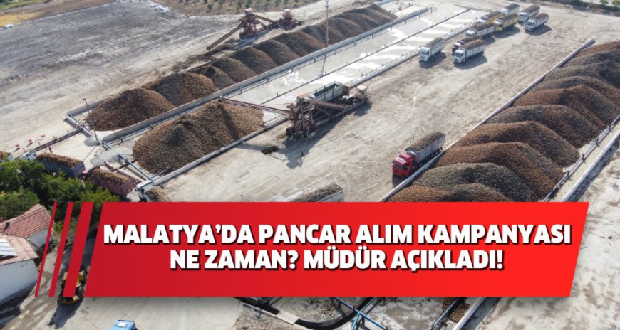 MALATYA’DA PANCAR ALIM KAMPANYASI NE ZAMAN BAŞLIYOR? MÜDÜR AÇIKLADI!