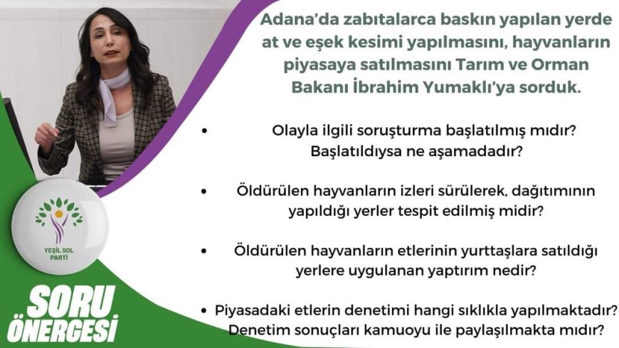 Adana Milletvekili Tülay Hatimoğulları soru önergesi verdi; "ADANA HALKINA EŞEK ETİ YEDİRİLMİŞMİDİR"