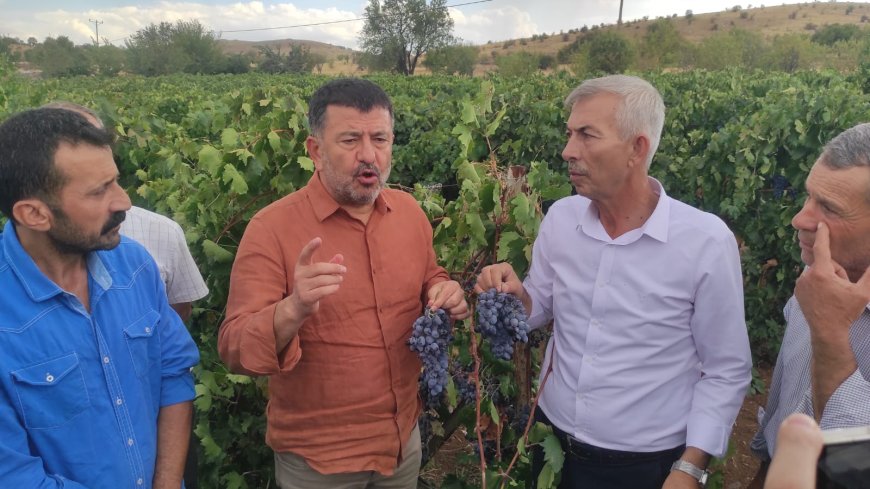 CHP’li Ağbaba: “Tarım ve Orman Bakanı maalesef tarımdan bihaber yaşıyor”